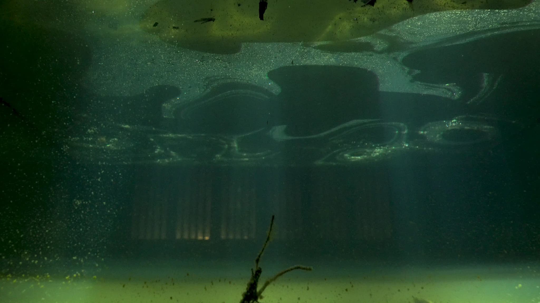 Wasser als Metapher für Trauma und Erinnerung in Quếs Kunst