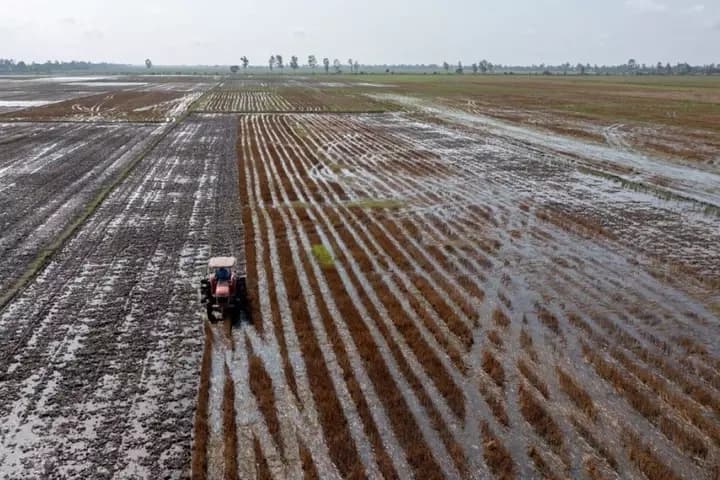 Das Mekong-Delta ist in Gefahr