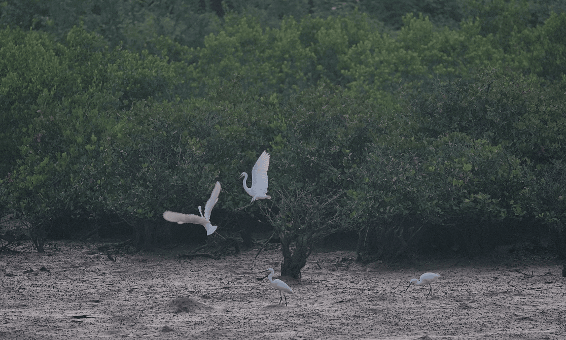 Natur schützen und Menschen helfen