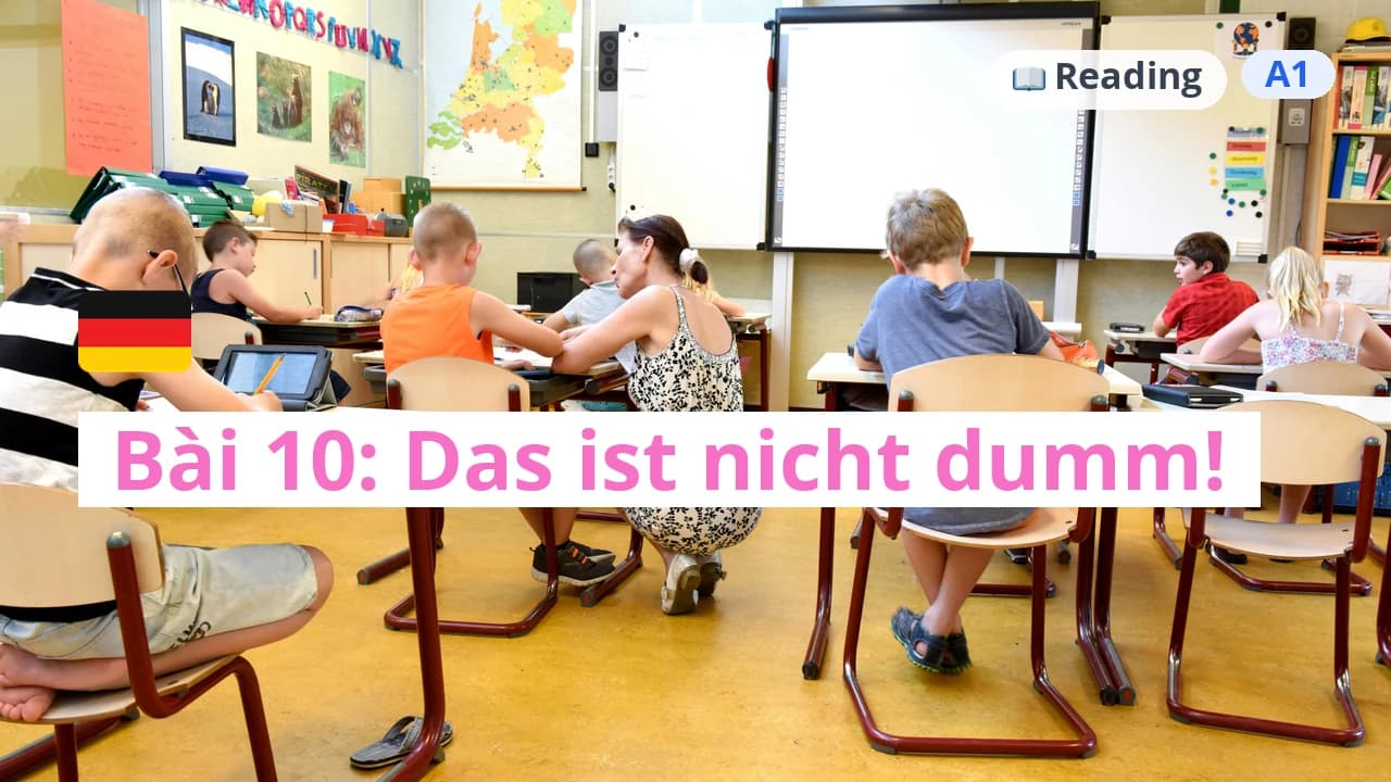 100 ngày tự học tiếng Đức - Bài 10: Das ist nicht dumm!
