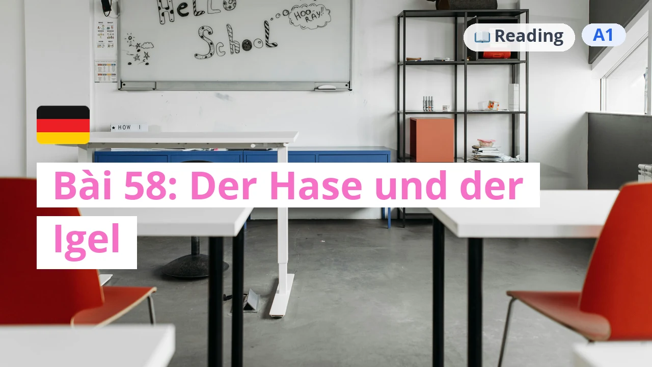 100 ngày tự học tiếng Đức - Bài 58: Der Hase und der Igel