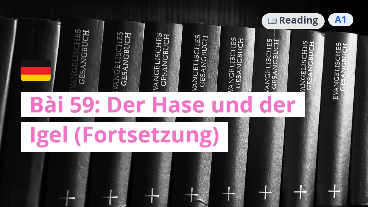 100 ngày tự học tiếng Đức - Bài 59: Der Hase und der Igel (Fortsetzung)