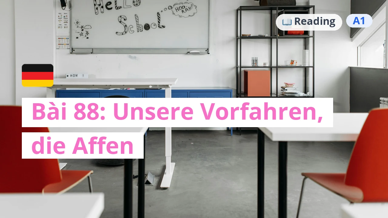100 ngày tự học tiếng Đức - Bài 88: Unsere Vorfahren, die Affen