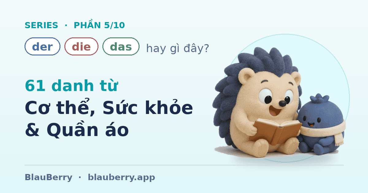 Der, die hay das? — Phần 5/10: 61 danh từ Cơ thể, Sức khỏe & Quần áo — từ đầu đến chân